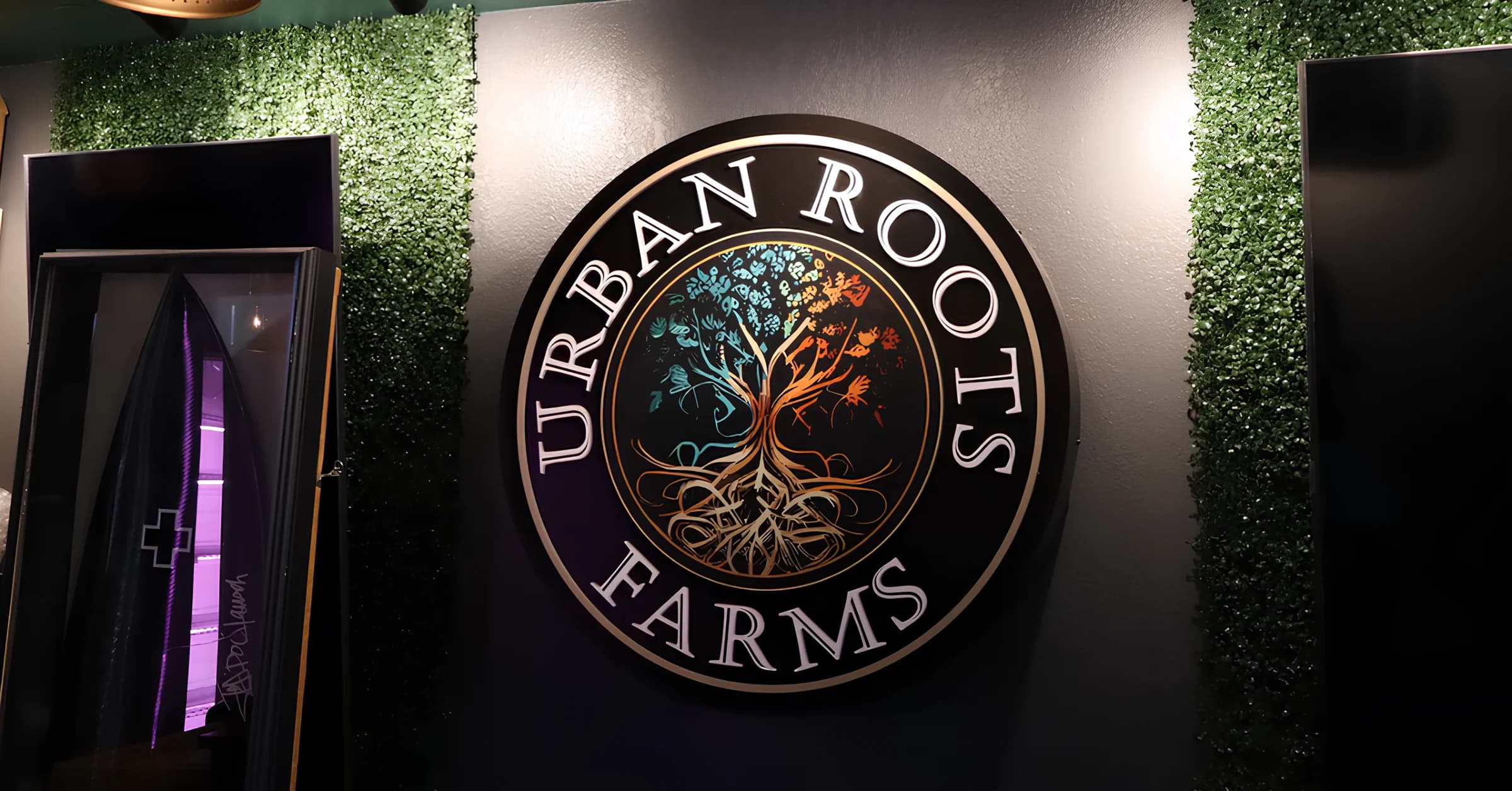 Ryan Kealy inside the Urban Roots Farms grow room