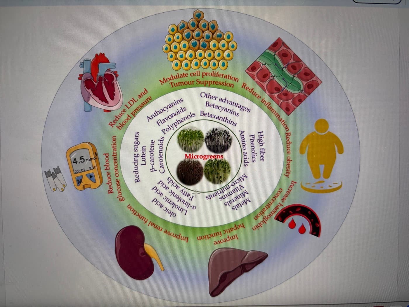Microgreens health benefits wheel diagram - Bhaswant et al., Molecules 2023