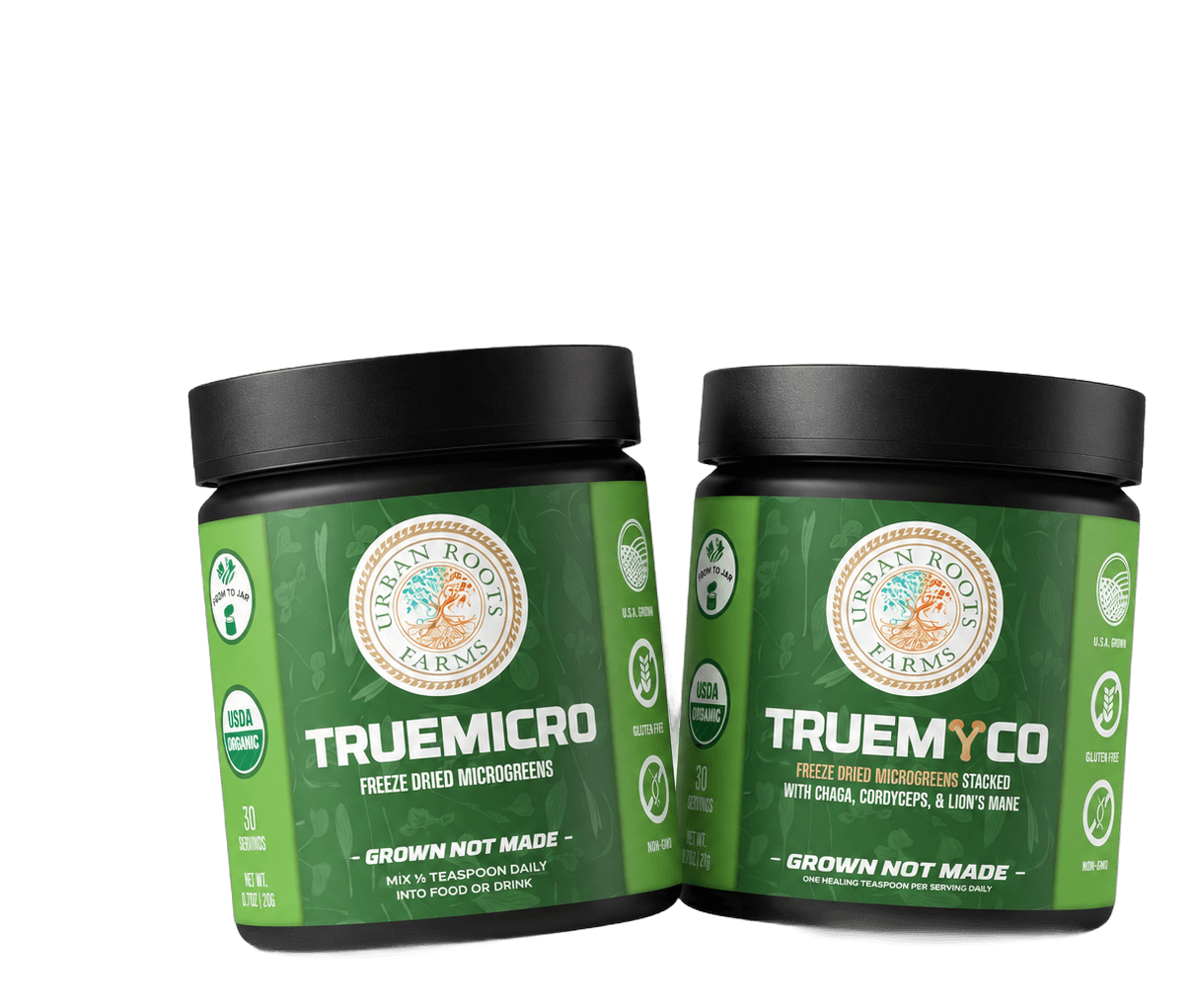 The Daily Bundle
