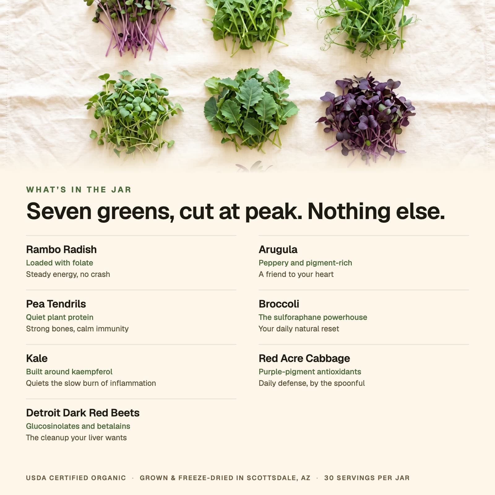 TrueMicro™ view 3