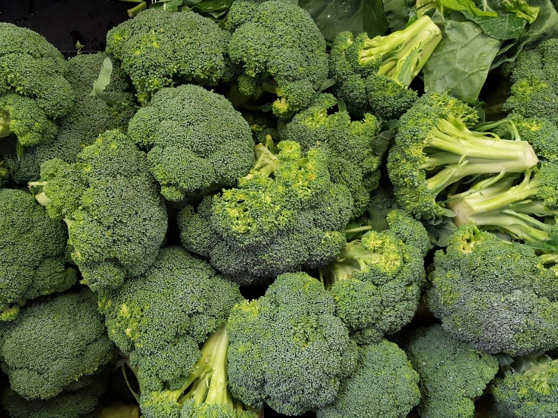 Image of a broccoli harvest.