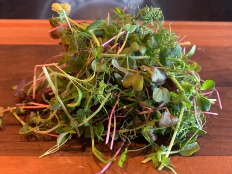 Image of microgreens from Urban Roots Farms.