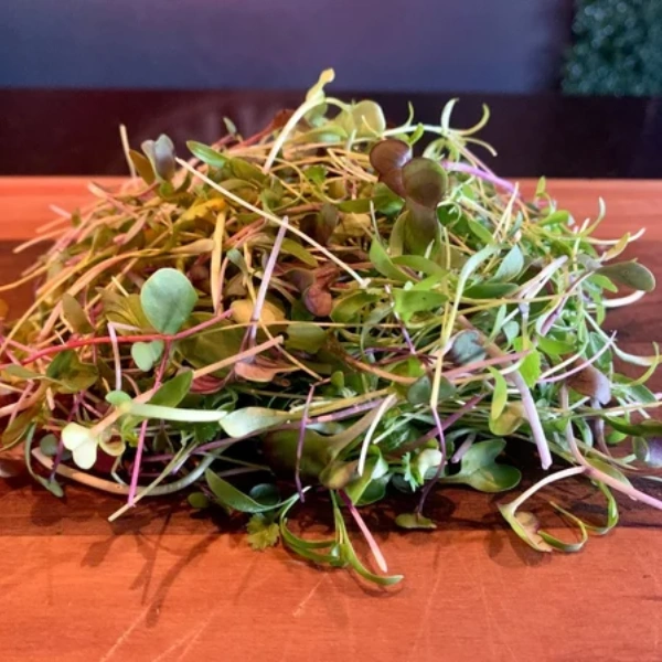 Image of microgreens from Urban Roots Farms.