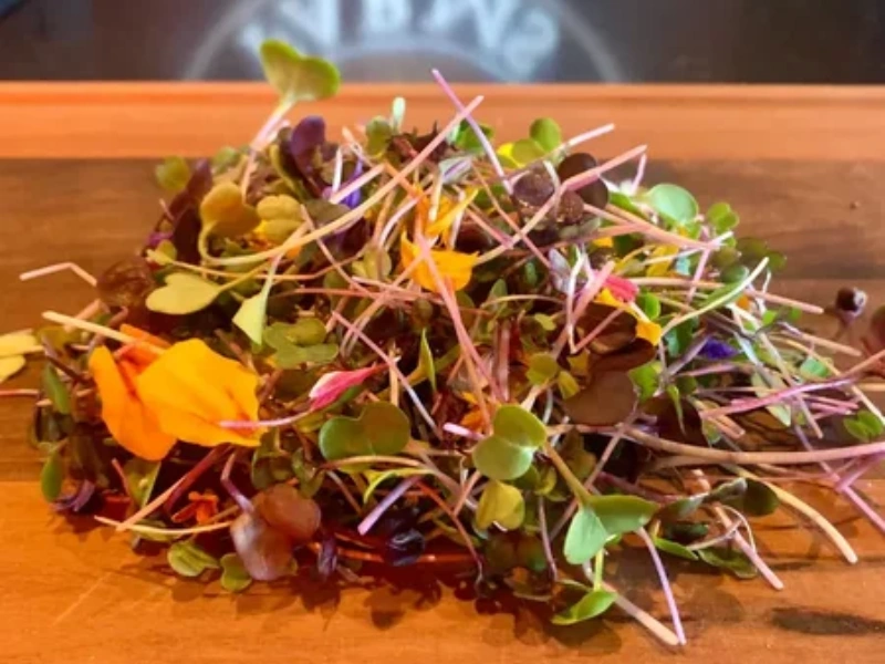 Image of microgreens.