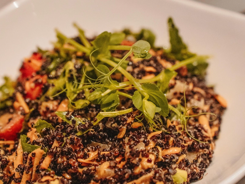 Image showing healthy morning nutrition with microgreens — benefits for the entire body.