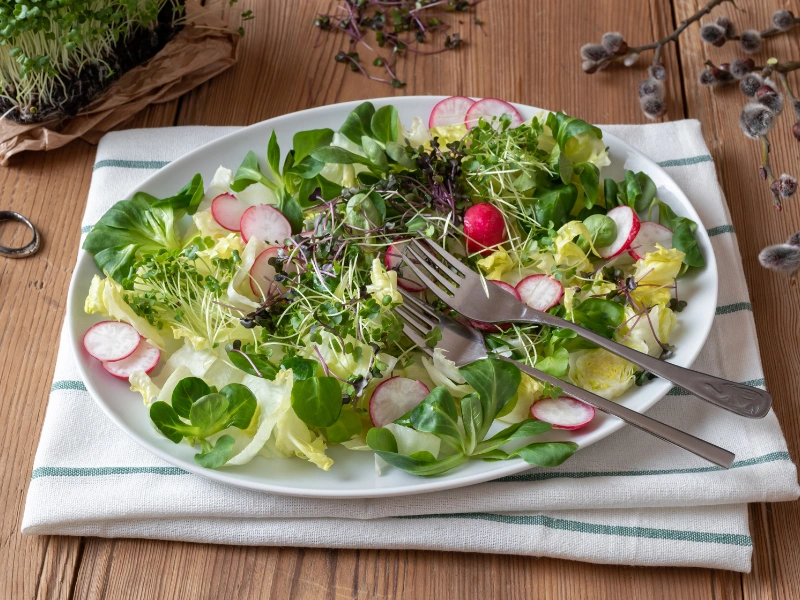 Image showing microgreens compared along with mature vegetables.