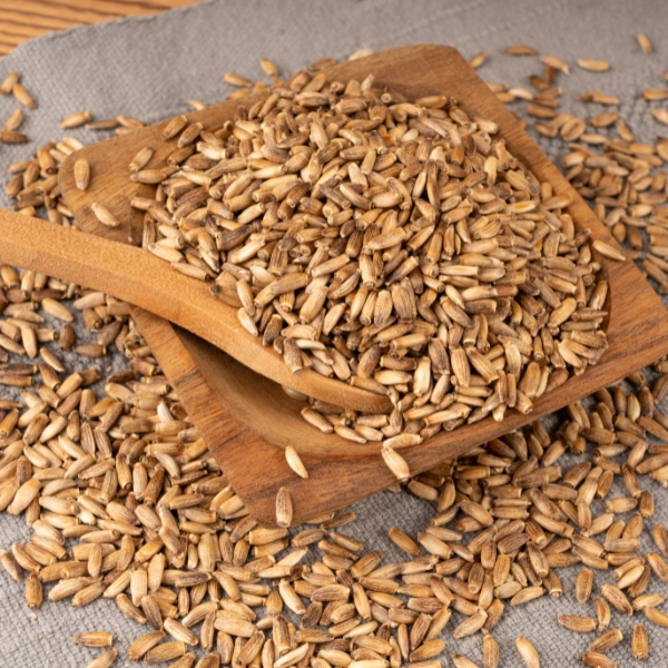 Image showing milk thistle plant and seeds.