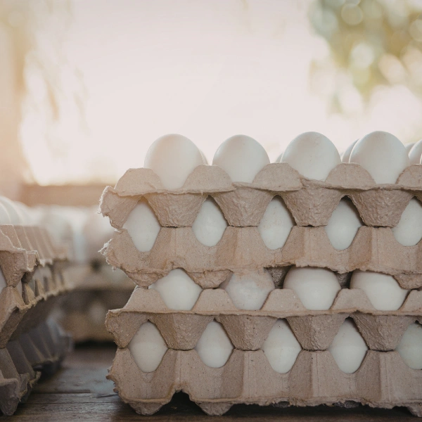 Image showing pasture-raised eggs in a carton.
