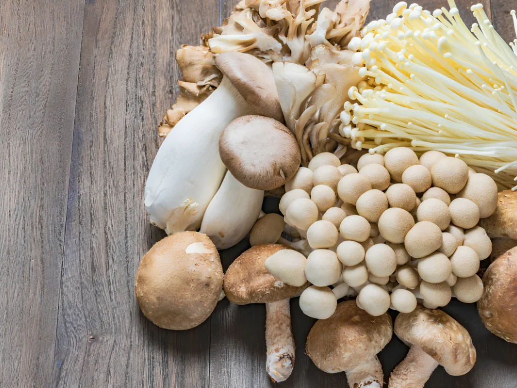 Image of a variety of fresh functional mushrooms.