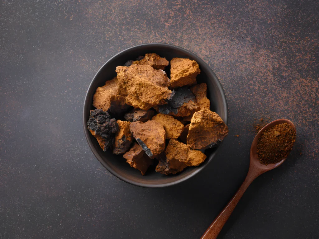 Image showing chaga and reishi mushrooms.