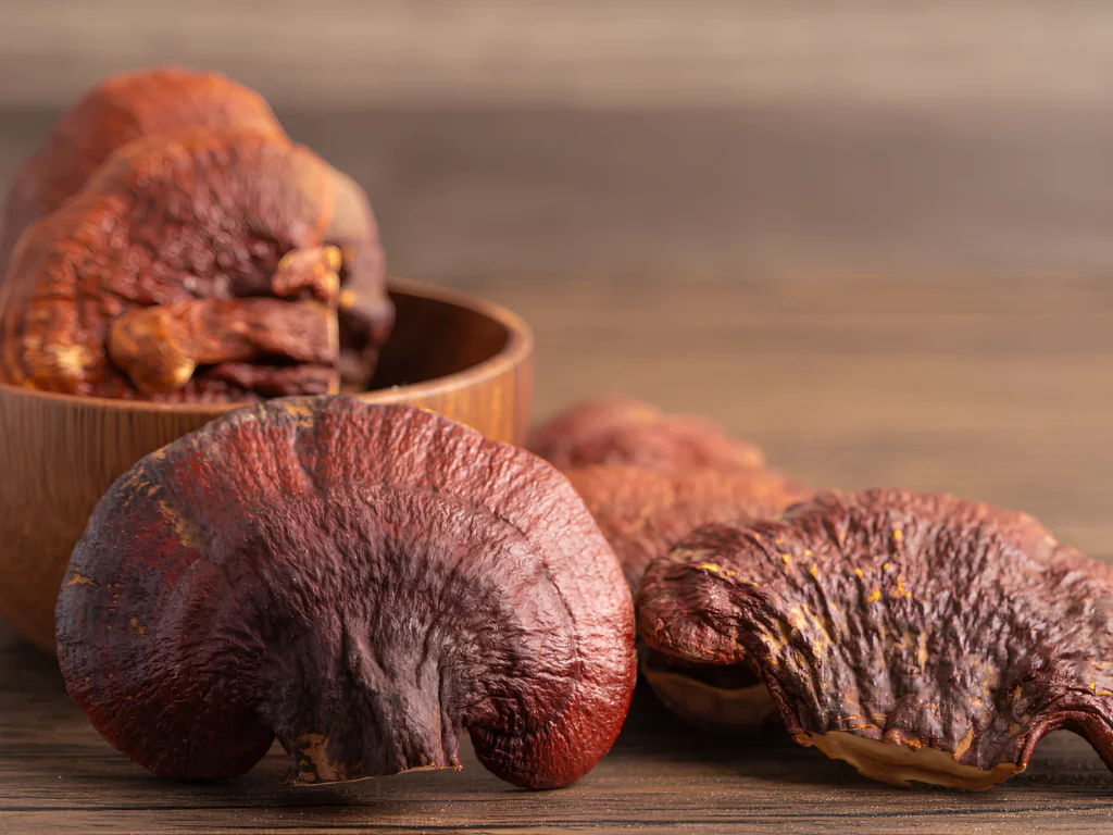 Image showing reishi mushroom (or cordyceps, chaga, and turkey tail).